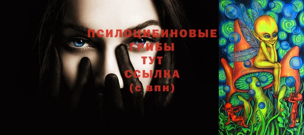 бошки Мегион