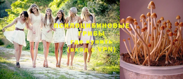 бошки Мегион