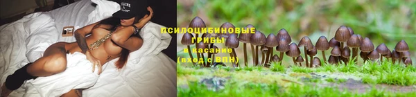меф Медвежьегорск