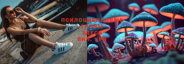 меф Медвежьегорск